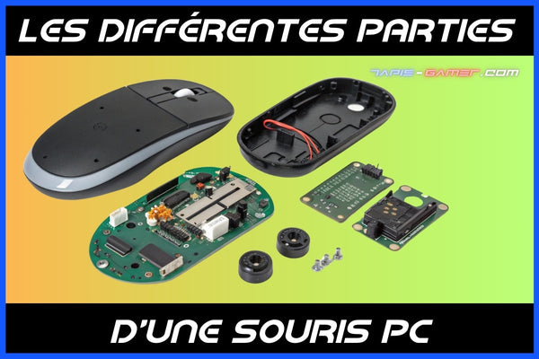 Les différentes parties, caractéristiques et composants d'une souris PC