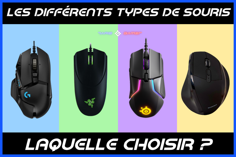 Les différents types de souris d'ordinateur : Quelle souris dois-je choisir ?