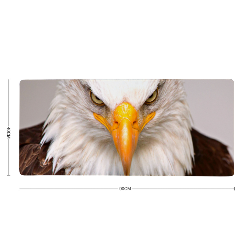 tapis de bureau xxl aigle