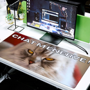 Tapis de Souris Chat Humour XL