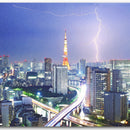 Tapis de Souris TOKYO