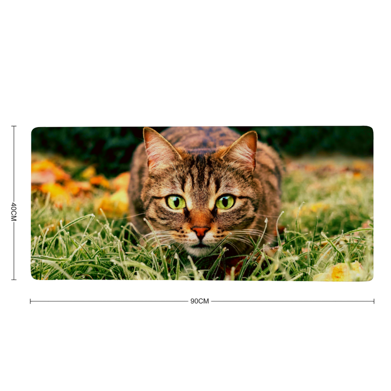 Tapis de Souris CHAT
