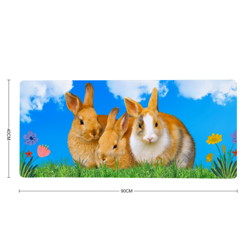 Tapis de Souris LAPIN