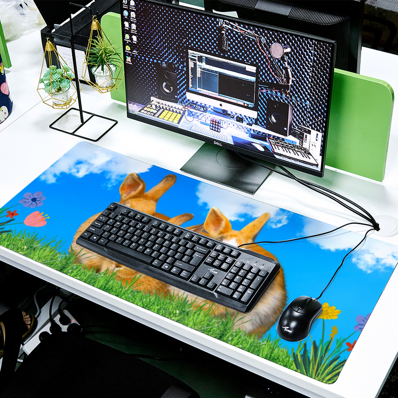 Grand Tapis de Souris Lapin