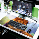 grand-tapis-de-souris-lion