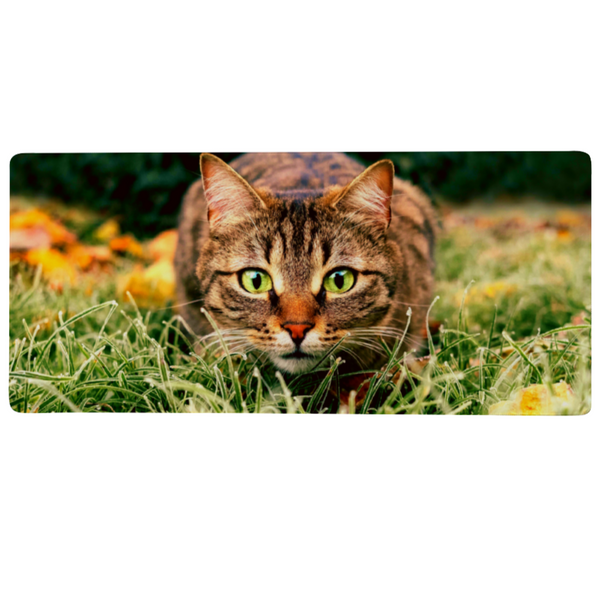 tapis-de-souris-chat-xxl