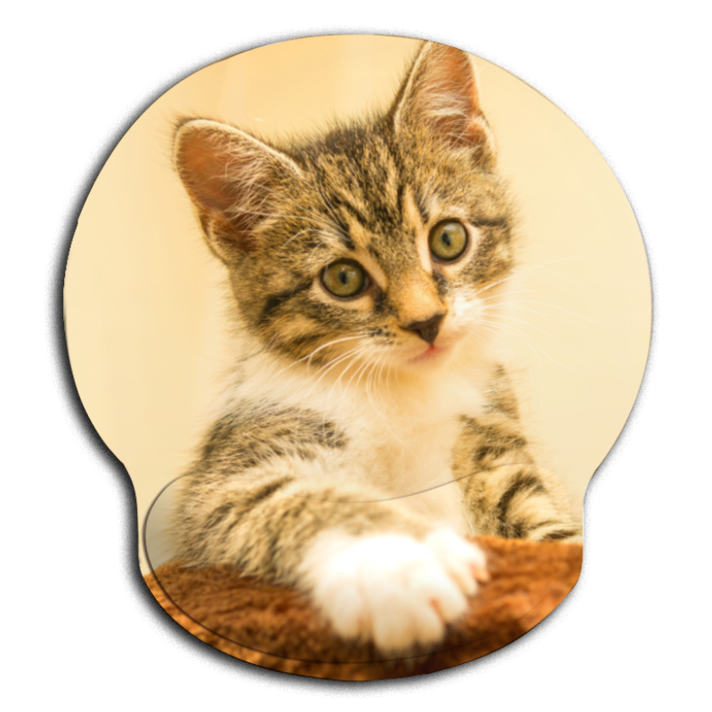 Tapis de Souris Ergonomique Chat