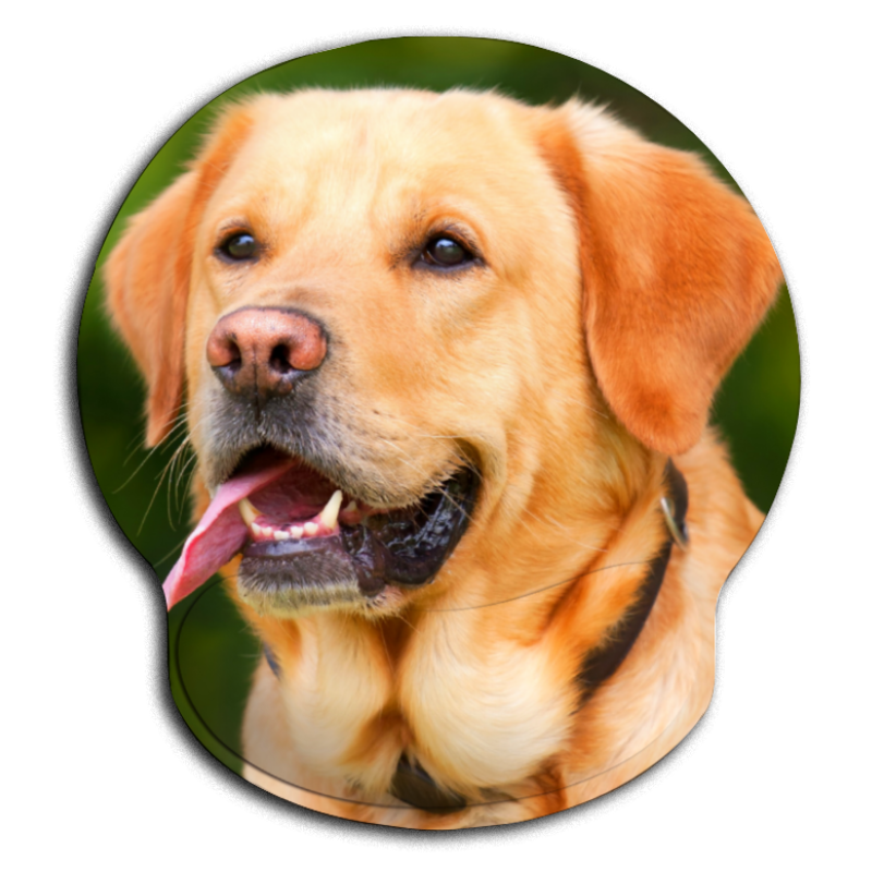 Tapis de Souris Ergonomique Chien