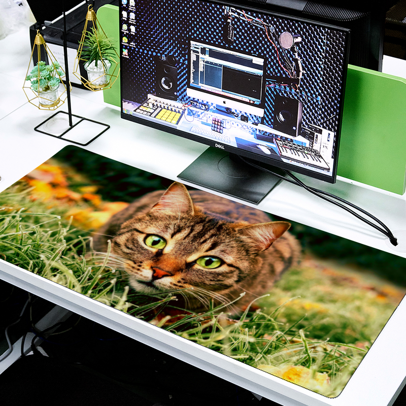 tapis-de-souris-geant-chat