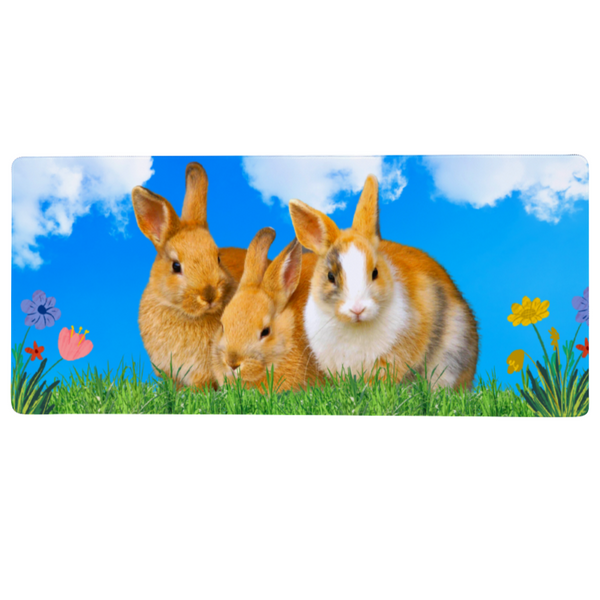 Tapis de Souris Lapin