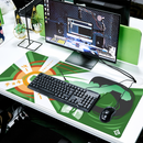 Tapis de Souris XXL Gon Freecs