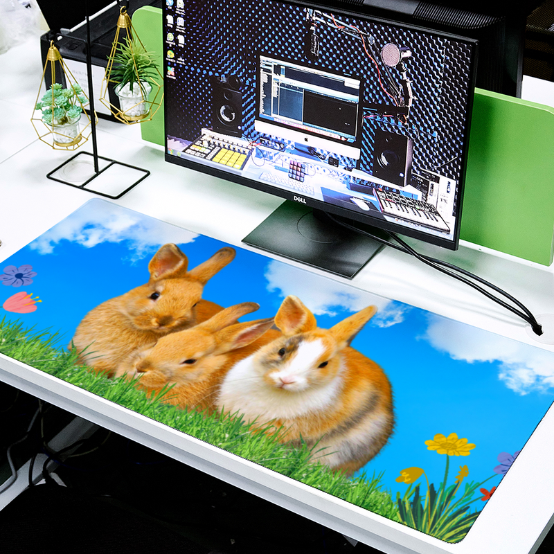 Tapis de Souris XXL Lapin